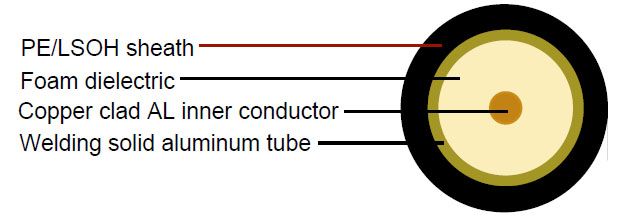 Click to view the big picture